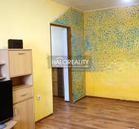 Interior of a 1-room apartment with a wooden decor floor and vibrant yellow walls.
