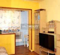 Interior of a 1-room apartment with a wooden decor floor and yellow walls.