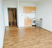 Studio apartment with a kitchenette and a wooden decor floor.