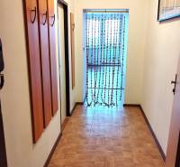 A hallway with a wooden decor floor, a curtain in a studio apartment, light, and a wall hanger.