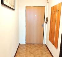 Hallway in a studio apartment with a wooden decor floor, coat hooks, and entrance door.