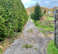 Gravel road surrounded by a hedge on Recreational Lands in Čereňany - Fančová.