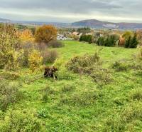 Greenery and trees on Recreational Land in Čereňany on Čereňany - Fančová Street.