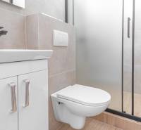 Bathroom with a sink, shower, and toilet in a studio apartment.