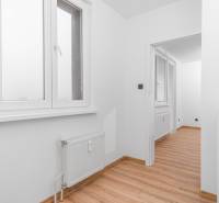 Bright space in a one-room apartment with wood-patterned flooring and a large window.