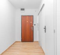 A white hallway interior with doors and a wooden decor floor in a studio apartment.