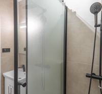 Bathroom in a studio apartment with a modern shower and sink.