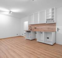 A kitchen in a studio apartment with a wood-patterned floor and white cabinets.