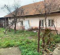 A family house in Lúčnica nad Žitavou with two windows, a terrace, and a garden in the autumn season.