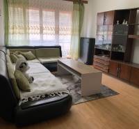 Living room in a family house with a wooden decor floor and a comfortable sofa.
