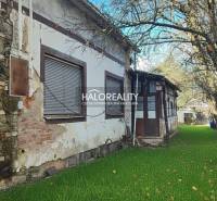 A family house in Rimavská Sobota, with significant signs of wear and a tree in the garden.