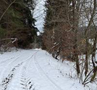 Snowy path on the Recreational Grounds in Čertov, Lazy pod Makytou, surrounded by forest vegetation.