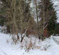 Snow-covered trees by the road on recreational grounds in Čertov, Lazy pod Makytou.