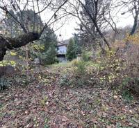 A garden with a cottage on Pod Srdcom Street, Bratislava - Devínska Nová Ves surrounded by trees.