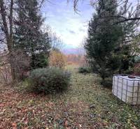Garden at the cottage in Bratislava - Devínska Nová Ves on Pod Srdcom with conifers.