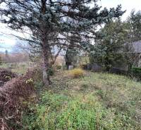 A garden in Devínska Nová Ves on Pod Srdcom street surrounded by trees, a cottage, in the autumn season.