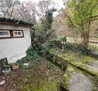 The exterior of the cottage on Pod Srdcom Street in Bratislava - Devínska Nová Ves overgrown with ivy.
