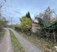 The path with greenery leads to a cottage in Bratislava - Devínska Nová Ves on Pod Srdcom Street.