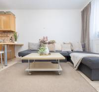 Living room in a two-room apartment with a sofa, table, and kitchenette.