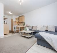 Living room in a two-room apartment with a sofa, carpet, and kitchenette.