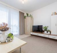 A bright living room in a two-room apartment with a wooden decor floor, decorations, and plants.