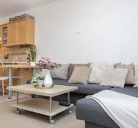 Living room in a 2-room apartment with a sofa, kitchenette, and a table with vases.