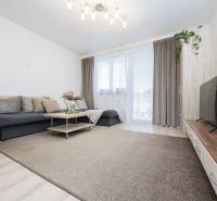 Living room in a two-room apartment with a sofa, coffee table, and TV.