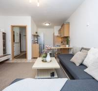 Living area connected with the kitchen in a 2-room apartment, comfortable sofa and wooden decor.