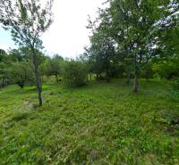 Greenery and trees on the plots - living in Dlhé Pole, ideal for a natural environment.