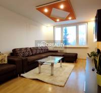 Living room in a two-room apartment with a large sofa, coffee table, and an interesting ceiling design.
