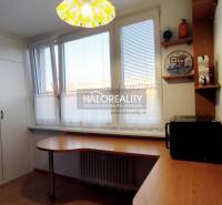 Kitchen and a 2-room apartment, containing furniture, a microwave, and cabinets with storage space.