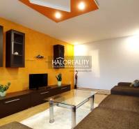 Living room with a sofa, glass table in a 2-room apartment, orange wall, shelves.