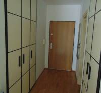 Hallway in a one-room apartment with a wooden decor floor and built-in wardrobes.