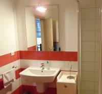 Bathroom in a studio apartment with a sink, mirror, and red and white tiles.