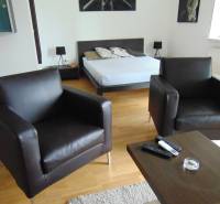 Interior of a 1-room apartment with sofas and a bed on a floor with wooden decor.