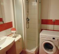 Bathroom with a washing machine, shower, and sink in a studio apartment with red details.