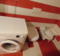 A bathroom with a washing machine, bidet, and red tiles in a studio apartment.