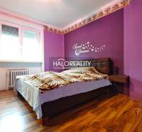 Bedroom in a 4-room apartment with wood-patterned flooring and purple walls.