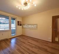A spacious room with a wooden decor floor and a large window in a 2-room apartment.