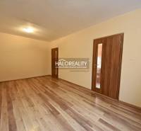 A spacious room with a wooden decor floor and two doors in a 2-room apartment.