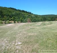 Sale Agrarian and forest land, Agrarian and forest land, Krupina, Slov