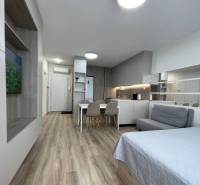 Sale One bedroom apartment, One bedroom apartment, Bystrická, Bratisla