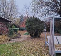 The garden of a family house in Bohdanovce nad Trnavou with leaves covered with deck chairs and lush greenery.