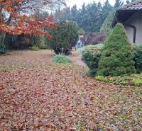 A garden at a family house in Bohdanovce nad Trnavou, covered with fallen autumn leaves.