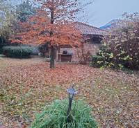 The garden of a family house in Bohdanovce nad Trnavou with autumn leaves and a small structure.