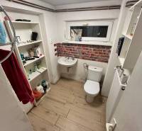 Bathroom in a cabin with a sink and toilet, wooden decor flooring, storage shelves.