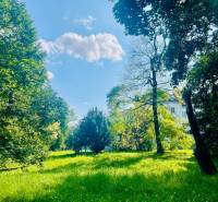 Greenery and trees around the cottage in Kučišdorská Valley in Pezinok.