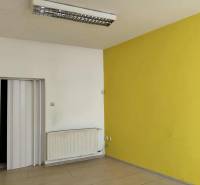 Interior of commercial spaces with wood-patterned flooring and a yellow wall.