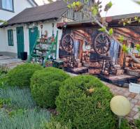 A family house in Okoličná na Ostrove with a decorative wooden wall and a landscaped garden.