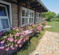 A family house in Okoličná na Ostrove with a brick facade and flowers in window boxes.